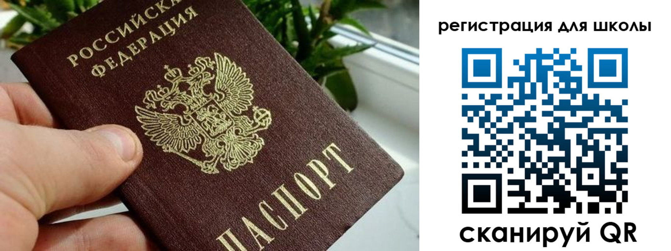прописка в Гатчине